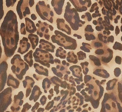 Leopard Mesh Mini Dress